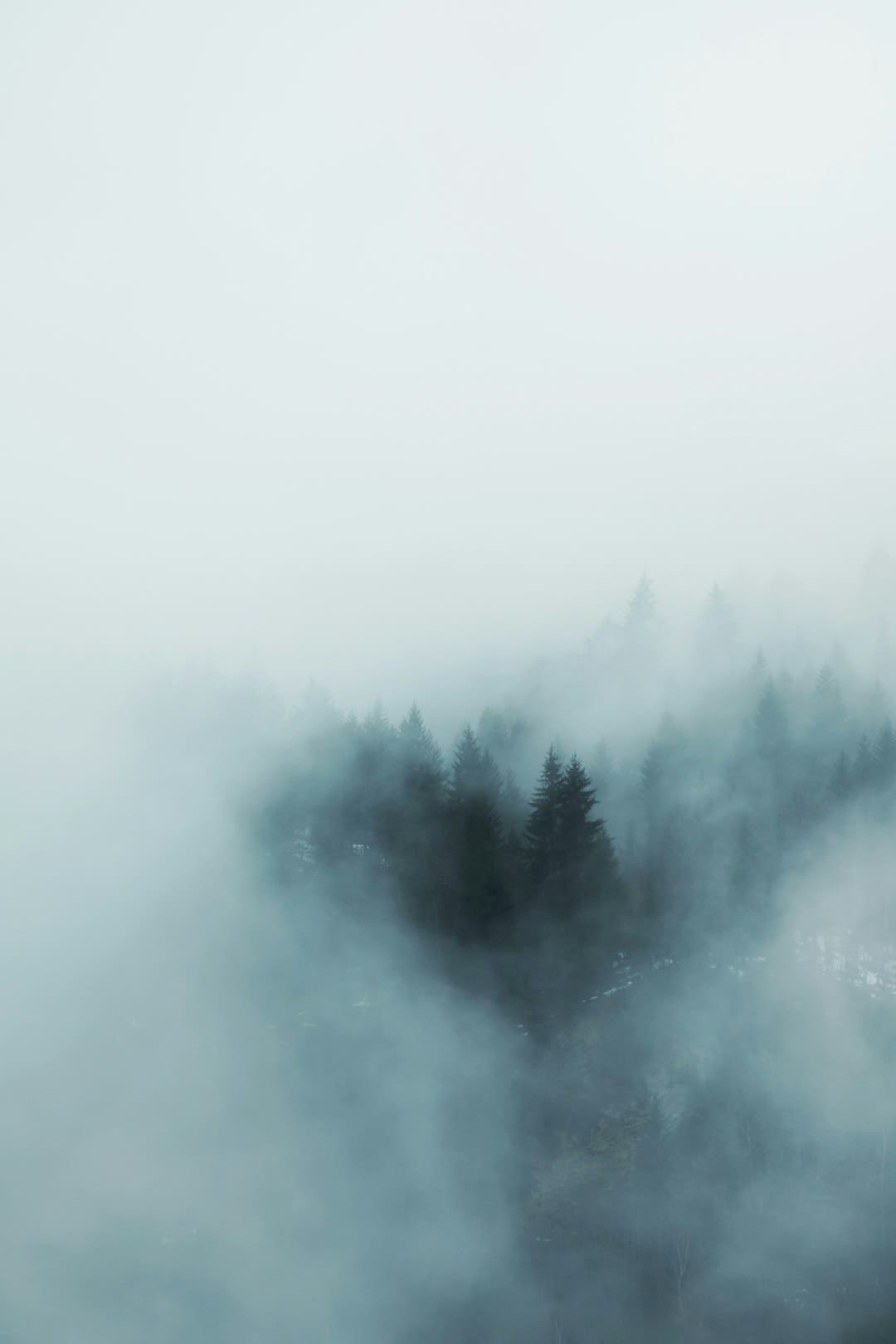 盯着拾荒老人不放,是怜悯?还是想遮羞?